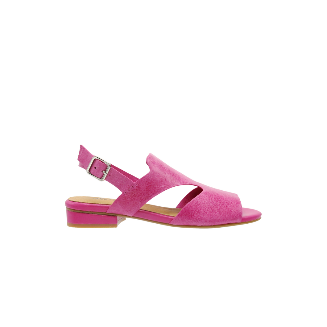 Rice - Fuxia