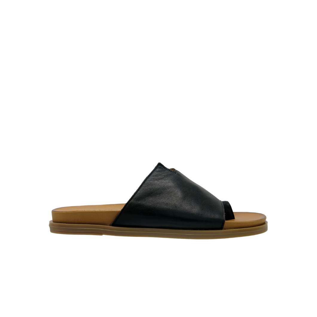 Tetra - Black