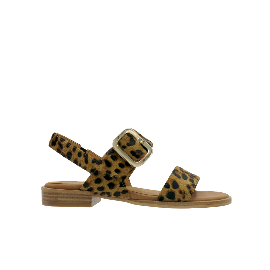 Smitten - Leopard