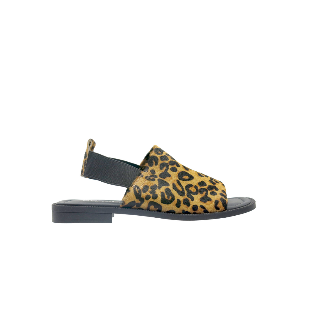 Snob - Leopard