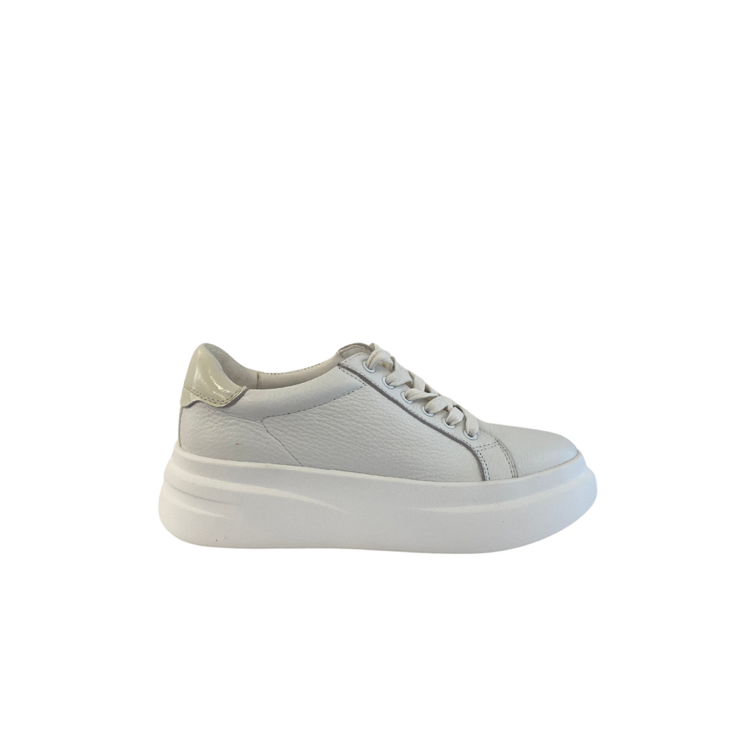 Bailey - White/Pat